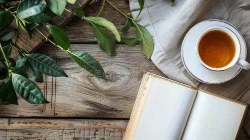 Autocuidado para líderes empreendedoras: o que o descanso tem a ver com performance